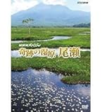 NHK�X�y�V���� ��Ղ̎��� ����