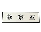 光 診察室 00783300-1 PL110-16