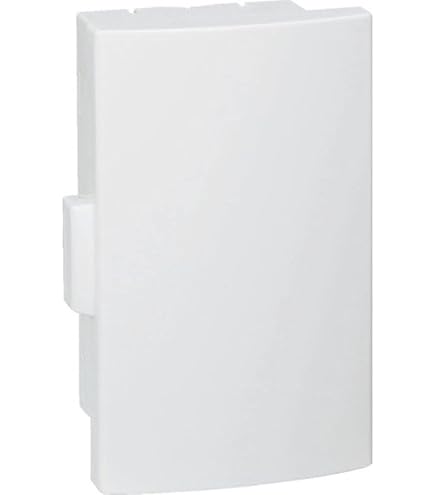 Amazon | 岩崎 水銀ランプ HF80X | 岩崎 | 白熱電球 通販