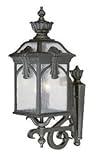 Alico Lighting 7121BG Acclaim Lighting Black Gold Finished Outdoor Sconce with Clear Seeded Glass Sh