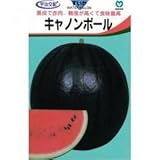 スイカ 種 【 キャノンボール 】 種子 小袋（約8粒）