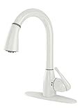 CleanFLO 8171 Single Handle Hi Arc Pull Down Faucet, White [並行輸入品]