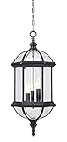 Acclaim 5274BK Dover Collection 3-Light Outdoor Light Fixture Hanging Lantern, Matte Black by Acclai