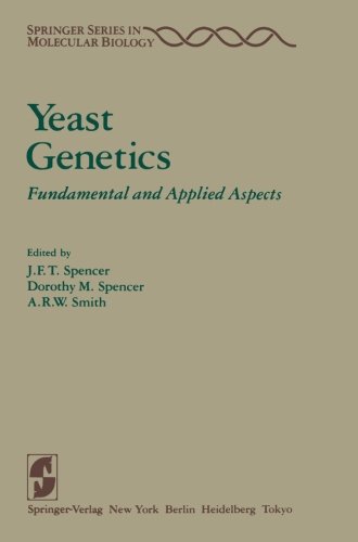 Yeast Genetics: Fundamental and Applied Aspects (Springer Series in Molecular and Cell Biology)の表紙