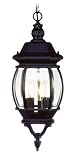 Livex Lighting 7527-04 Frontenac 3 Light Outdoor Chain Hang, Black by Livex Lighting