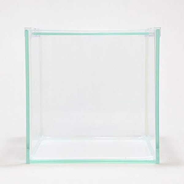 Amazon Co Jp コケのインテリア コケリウム テラリウム コケリウム ガラス容器 15cmキューブ S フタ付 ホーム キッチン