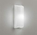 オーデリック エクステリア ポーチライト 【OG254673NR】 【OG 254 673NR】