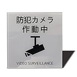 Seagron 防犯カメラ 作動中（イラスト型）サインプレート 両面テープ付き ステッカー 2㎜アクリル製 おしゃれ 耐水 耐候 (グレー 80×80㎜（1枚）)