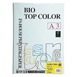 （業務用セット） 伊東屋 バイオトップカラー A3判 100枚入 80g／m2 BT207 ブルー 【×2セット】 ds-1537404