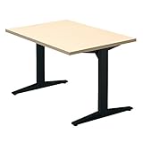 プラス　会議テーブル　STAGEO　テーブル長方形　ST-120TR　ホワイトメープル