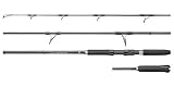 スミス(SMITH LTD) オフショアスティック OLP-S70LH/C4