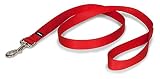 PetSafe（ペットセーフ）犬用リード ナイロンリード レッド 幅2.5cm×長さ120cm