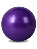 選べる4サイズ バランスボール 45cm 55cm 65cm 75cm アンチバースト ポンプ付き (65cm, ビビットパープル)