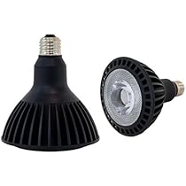 CERAPHIC いきもの電球 5000K 京セラ 31ejTM5ayRL._AC_UL210_SR210,