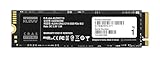 エッセンコアクレブ KLEVV SSD 1TB CRAS C710 M.2 Type2280 PCIe3×4 NVMe 3D TLC NAND Flash採用 メーカー保証5年 K01TBM2SP0-C71