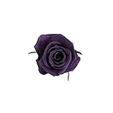 florever　フロールエバー　フレッシュルックスプレーローズ　バイオレット　8輪　Φ3.5～4.5cm　 プリザーブドフラワー　Spray Rose　Violet