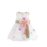 【子供ドレス部屋】 ベビーワンピース プリンセス 結婚式 誕生日 キッズワンピース フォーマルドレス ベビードレス ワンピース (90cm)