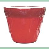 【4個入】イタリア製樹脂ポット(植木鉢/プランター) COCCO(コッコ) φ8cm/穴無し Gレッド(赤) 〔ガーデニング用品/園芸〕