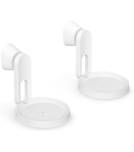 Amazon | Flexson ウォールマウント Sonos ERA 300用 シングルパック