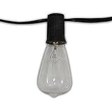 String Light Company VC94824 Edison Vintage Series 48-Ft String Lights with 24 Light Sockets and 24 