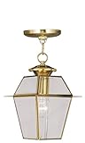 Livex Lighting 2183-02 Westover 1-Light Outdoor Chain Hang, Polished Brass [並行輸入品]