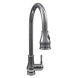 Dyconn Baltic TB001-A17 18-Inch Modern Single Handle Pull Out Dual Spray Kitchen Faucet with matchin