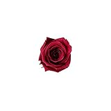 florever　フロールエバー　フレッシュルックベイビーローズ　カーディナル　12輪　Φ2.5～3.5cm　 プリザーブドフラワー　Baby Rose　Cardinal