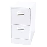 ファイルキャビネット ファイリングキャビネット A4ファイル 書庫 書類収納 書類ケース L-A4-2W (2段(ホワイト))