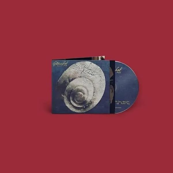 Amazon.co.jp: Valentine [Analog]: ミュージック