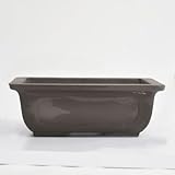 常滑焼 烏泥(ウデイ)長方鉢 盆栽鉢 6号 幅 18 cm × 高 7 cm× 奥 15 cm