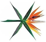 EXO 4集 - THE WAR (韓国語版) (ランダムバージョン)