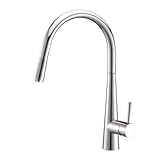 Ruvati rvf1221シングルハンドルプルダウンキッチン蛇口 RVF1221CH 1