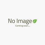 - Jason Bodycare - Kids Strawberry Toothpaste | 119g | BUNDLE by Jasons Natural