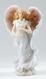 7.75 ''イザベル確認ANGL