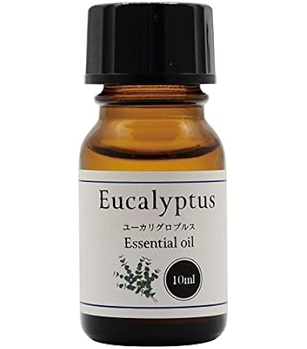 Amazon.co.jp: 生活の木 ブレンド精油夜 10ml : ドラッグストア