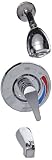 Zurn Z7302-SS-MT Tub And Shower Unit by Zurn