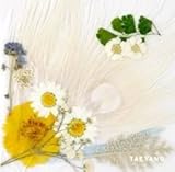 【早期購入特典あり WHITE VER】 BIGBANG SOL WHITE NIGHT 3rd ソロアルバム (初回ポスター付)( 韓国盤 )(初回限定特典7点)(韓メディアSHOP限定)