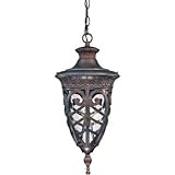 1 Light - Hanging Lantern - Seeded Glass [並行輸入品]