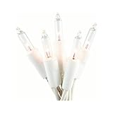 Everglow 2980-22 100 Clear White Wire Light Set [並行輸入品]