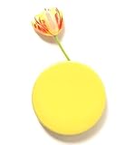 Chive Wall Dot Yellow Vase [並行輸入品]