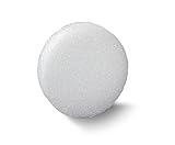 FloraCraft Styrofoam Discs, 9-Inch-by-1 1/4-Inch Disc, White by FloraCraft