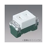 パナソニック 埋込扉付コンセント 15A 125V 利休色 WN1051G