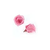 florever　フロールエバー　フレッシュルックベイビーローズ　シュガーピンク　12輪　Φ2.5～3.5cm　 プリザーブドフラワー　Baby Rose　Sugar Pink