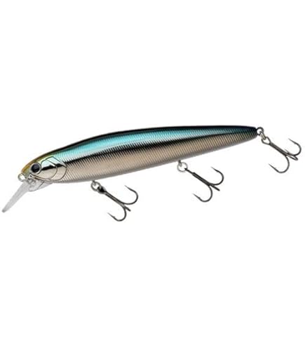 Amazon.co.jp: ノリーズ(NORIES) ミノー レイダウンミノー ミッド110F