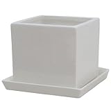 インテリアポット　タリーズ　キューブ　ホワイト　10cm　皿付 (穴有)　4個入り　／植木鉢