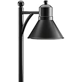 Progress Lighting P5245-31 LED Low Voltage Landscape Path Fixtures by Progress Lighting