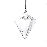 Baosity 花瓶　花　プランター　ガラス製　吊り掛け　水耕栽培容器　装飾　透明　　コンテナ