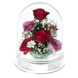 レンデフロール（Reine De Fleur） ハンドメイドドライフラワー バラ・千鳥草・かすみ草 I-F
