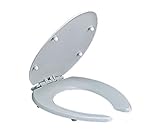 LIXIL(リクシル) INAX フタ付前割便座(大型) ブルーグレー CF-5AE/BB7