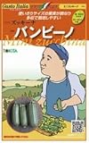 【ズッキーナ】バンビーノ　小袋（8粒）（トキタ種苗）